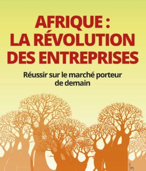 Afrique: la révolution des entreprises