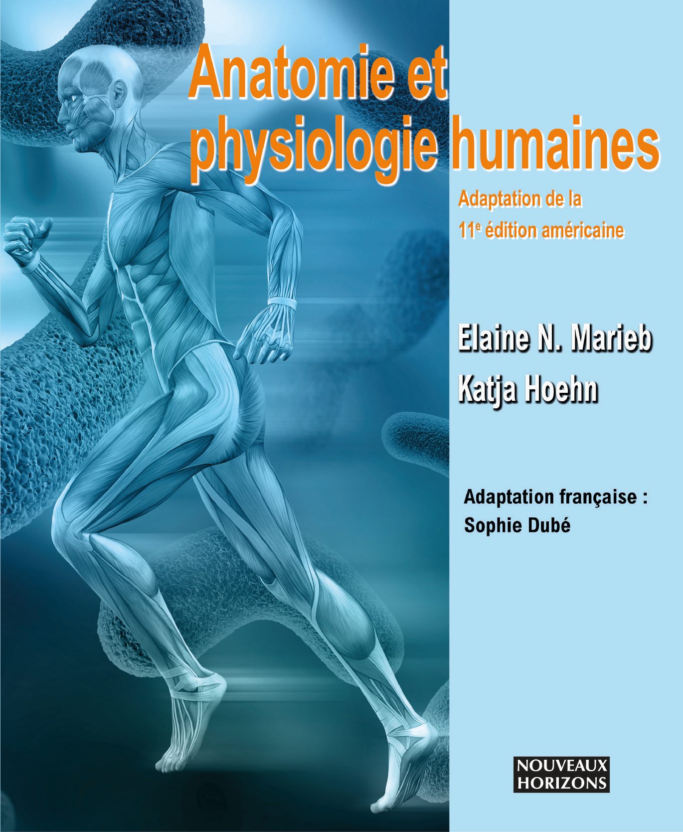 Huit découvertes récentes étonnantes sur l'anatomie humaine - Edition du  soir Ouest-France - 09/04/2020